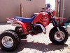 Mikes Honda 250R